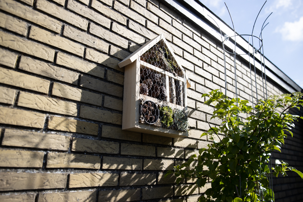 Kreativ DIY fågelmatare på murvägg