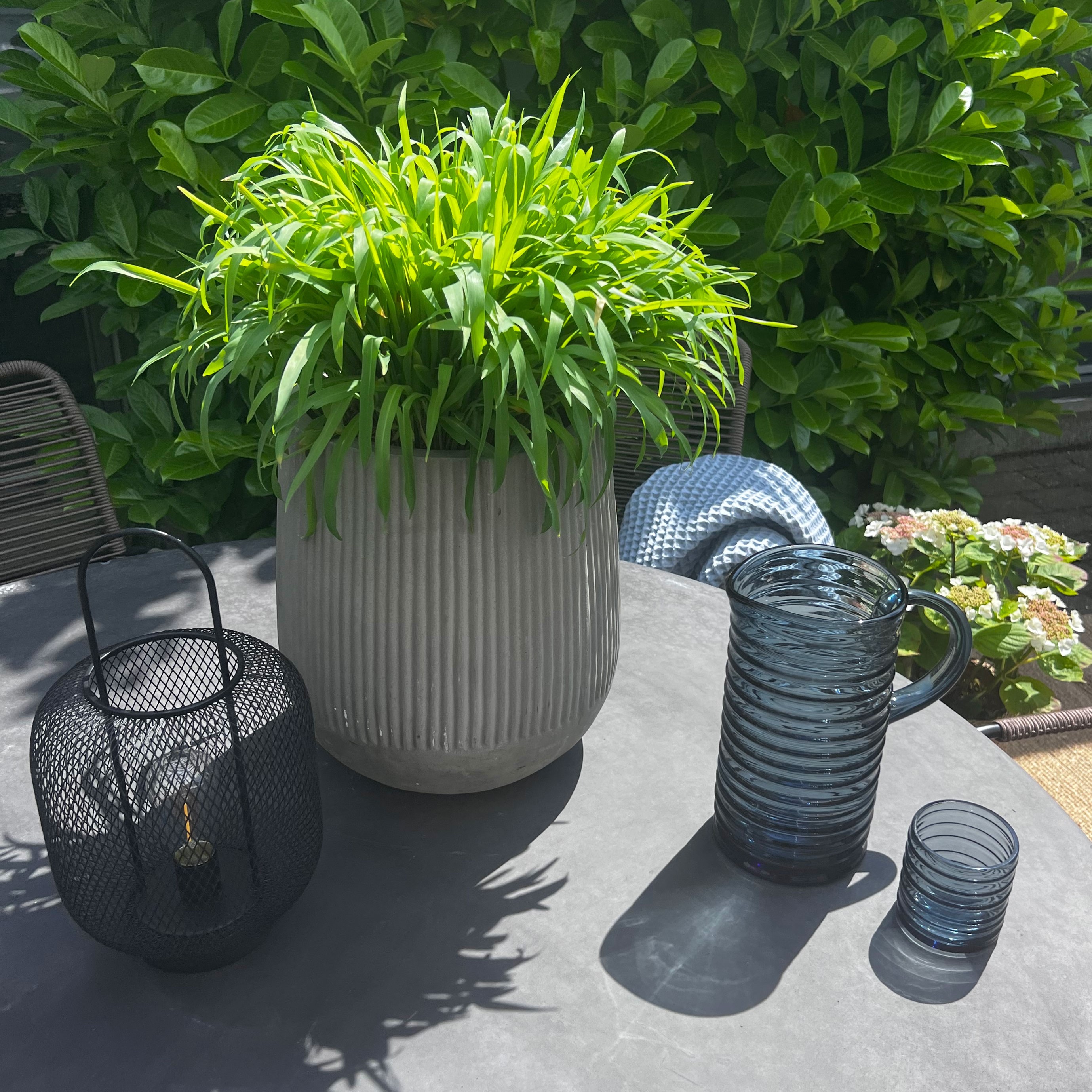 Grön växt och vattenglas på trädgårdsbord