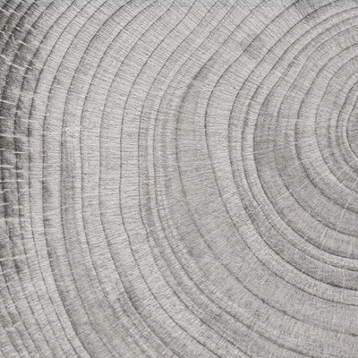 Närbild av årsringar i ett stycke trä