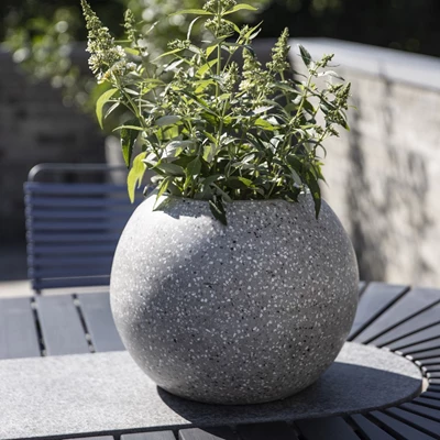 Rund trädgårdskrukka i terrazzo med grått design och en grön trädgårdsväxt i.