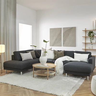 Vardagsrumsmiljö med en mörk schäslongsoffa på en vit matta tillsammans med ett soffbord, en bokhylla i trä och tavlor på väggen.