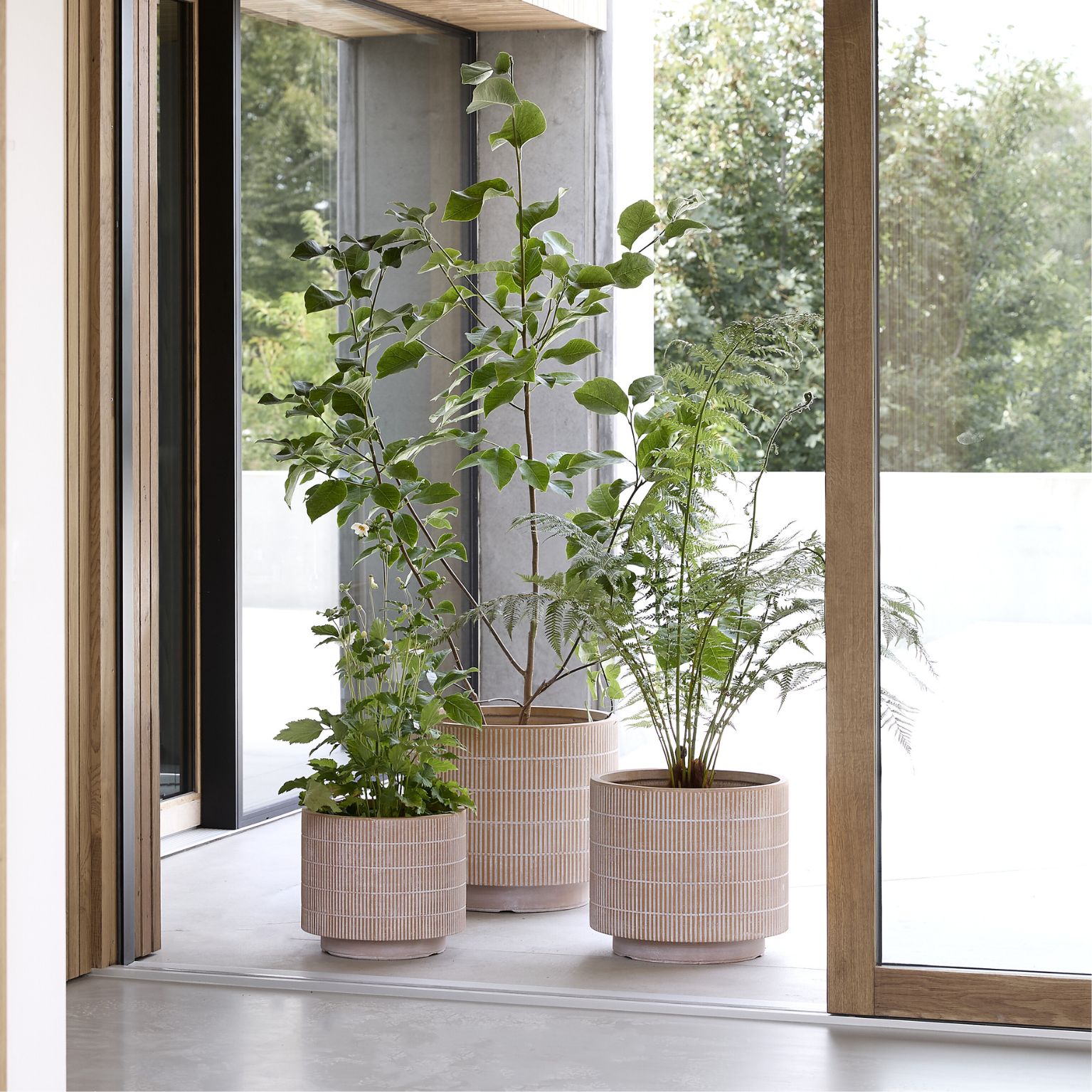 Designnominerade krukor med gröna växter