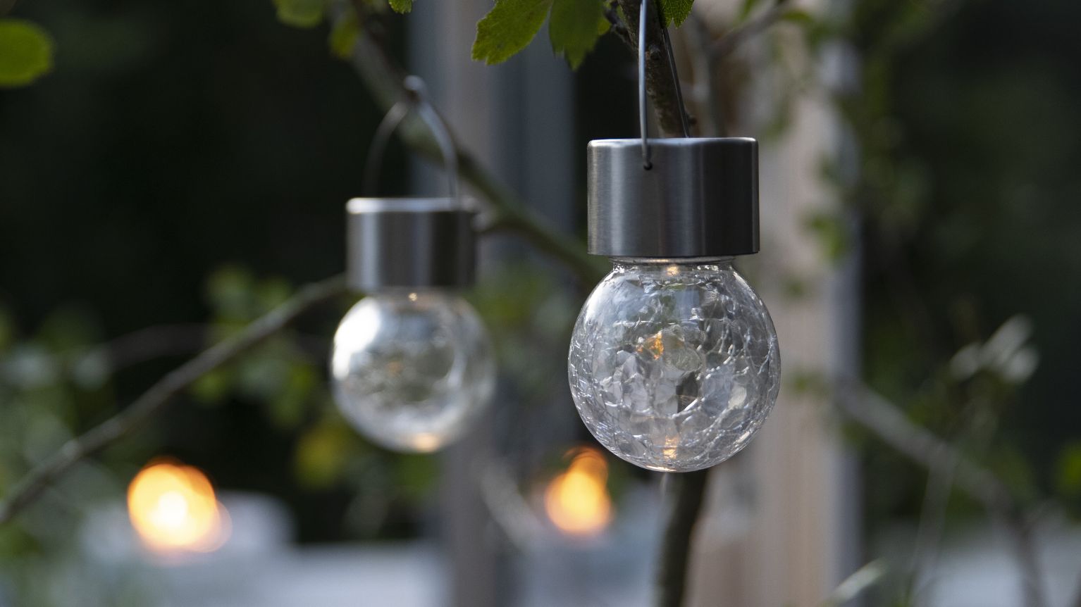 Solcellslampor hängande i träd