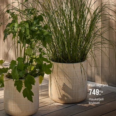 2 stora krukor med gröna växter i.