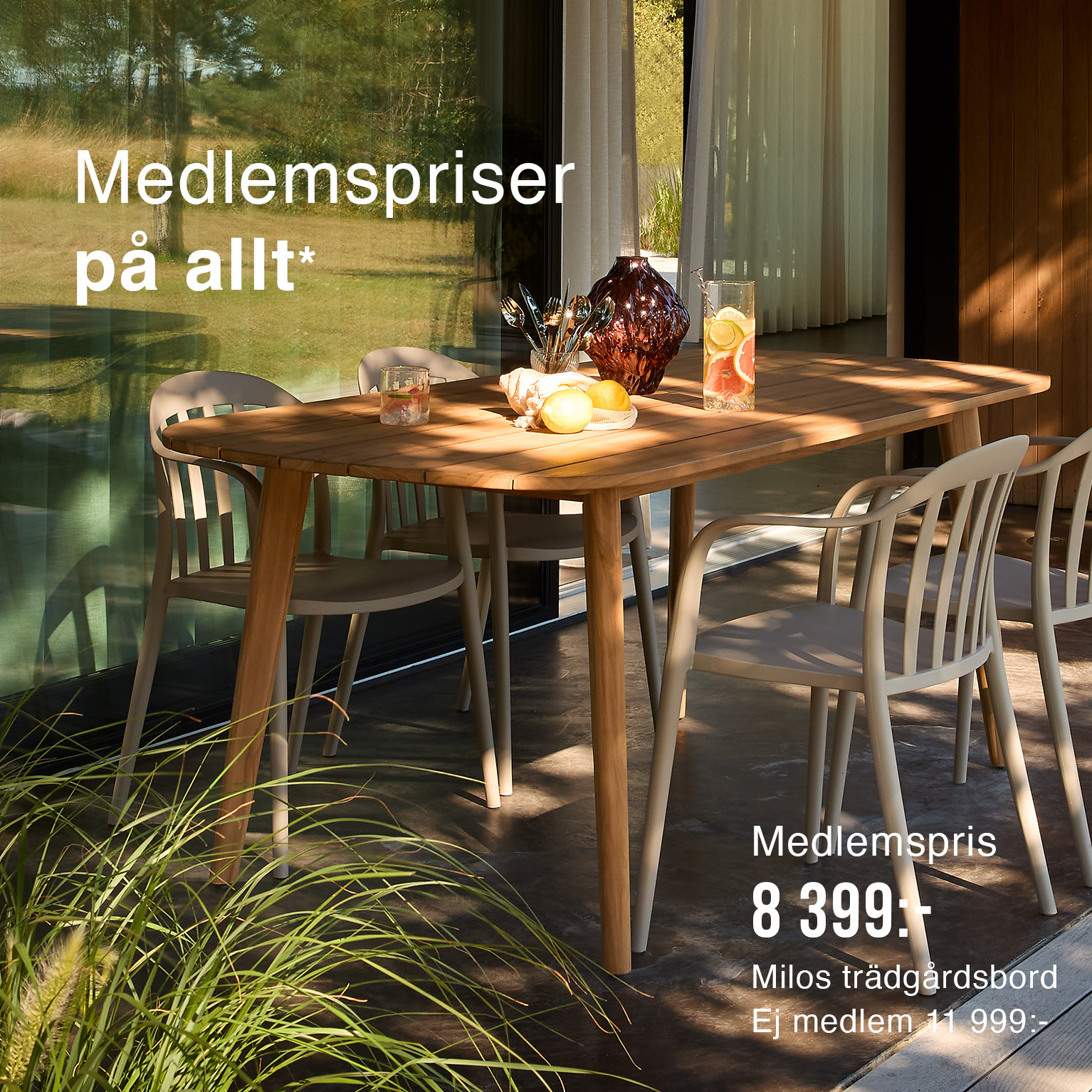 medlemspriser på allt*