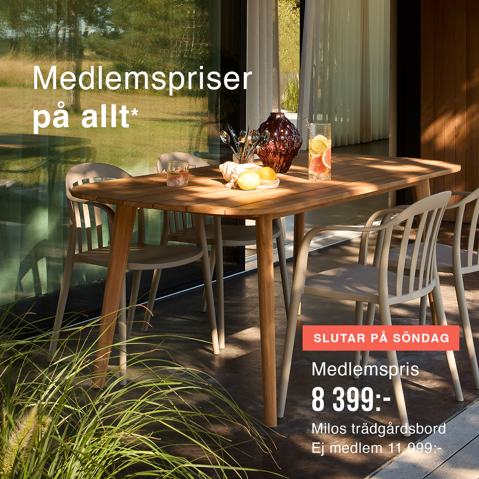 medlemspriser på allt*