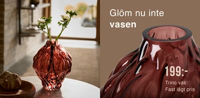 Rödaktig vas i glas
