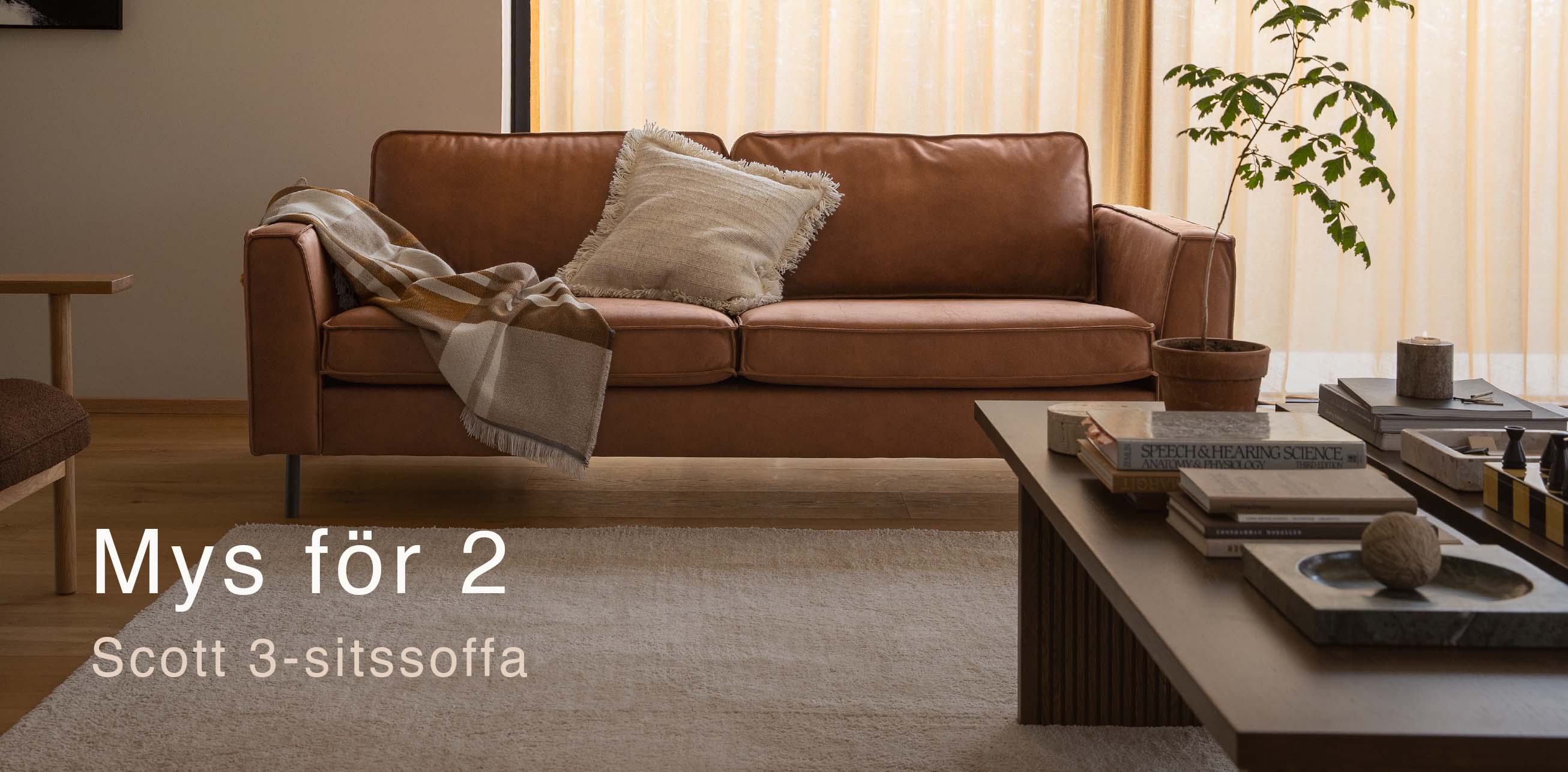 2-sitssoffa i cognacbrunt.