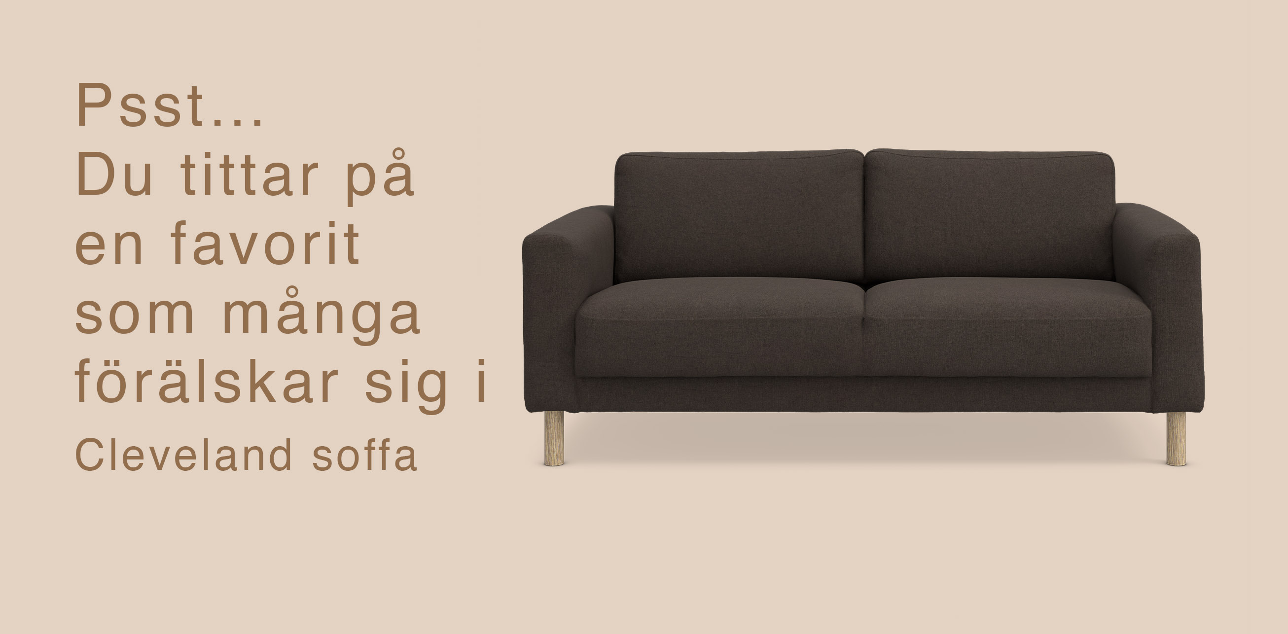 2-sitssoffa med mörk klädsel mot beige bakgrund.