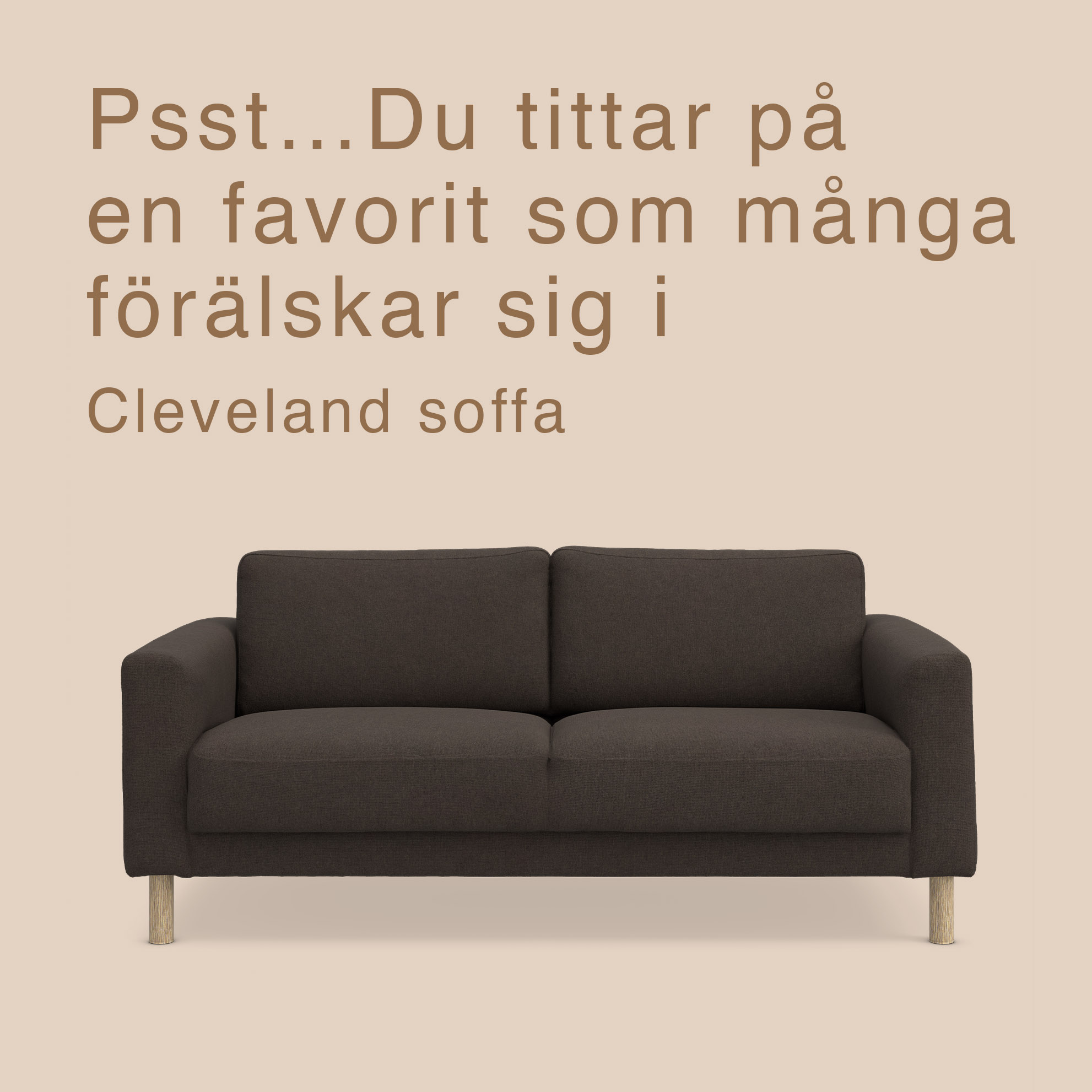 2-sitssoffa med mörk klädsel mot beige bakgrund.