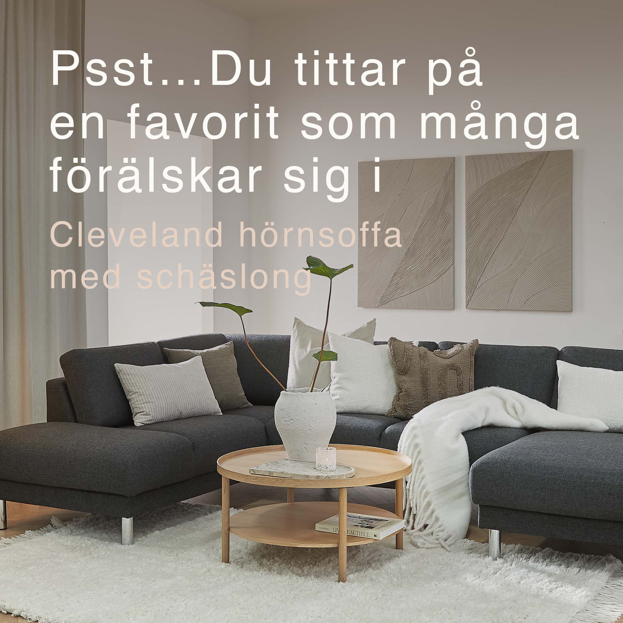 U-soffa med mörkblå klädsel i vardagsrummet.