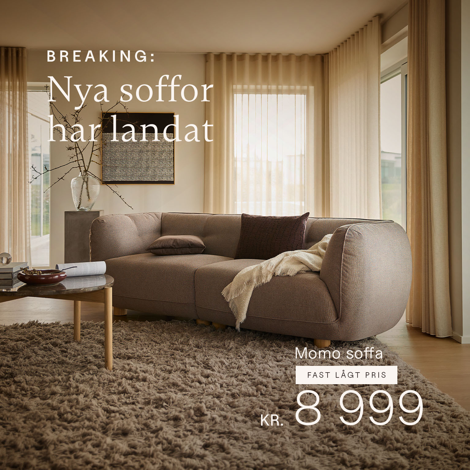 Grå soffa som står i ett vardagsrum