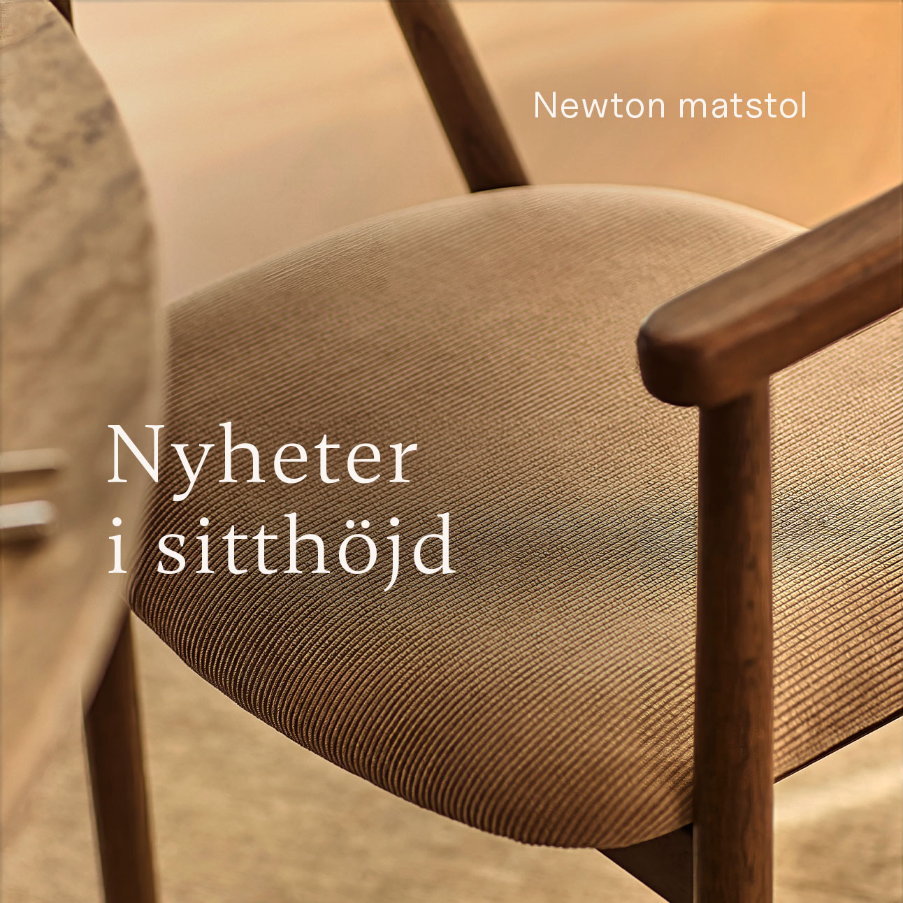 Matstol i trä med stoppad sits