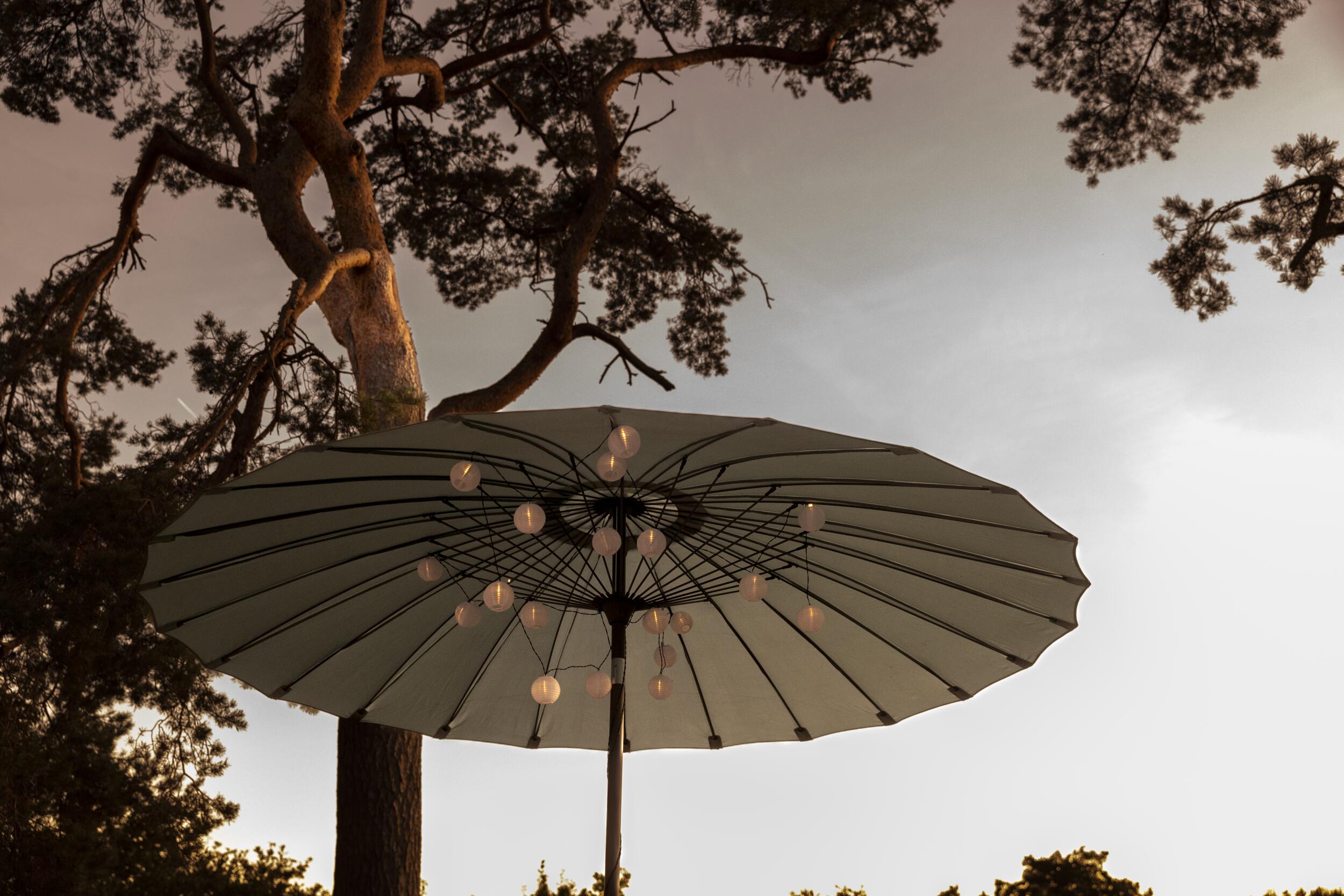 Grya ljusslinga med solceller 