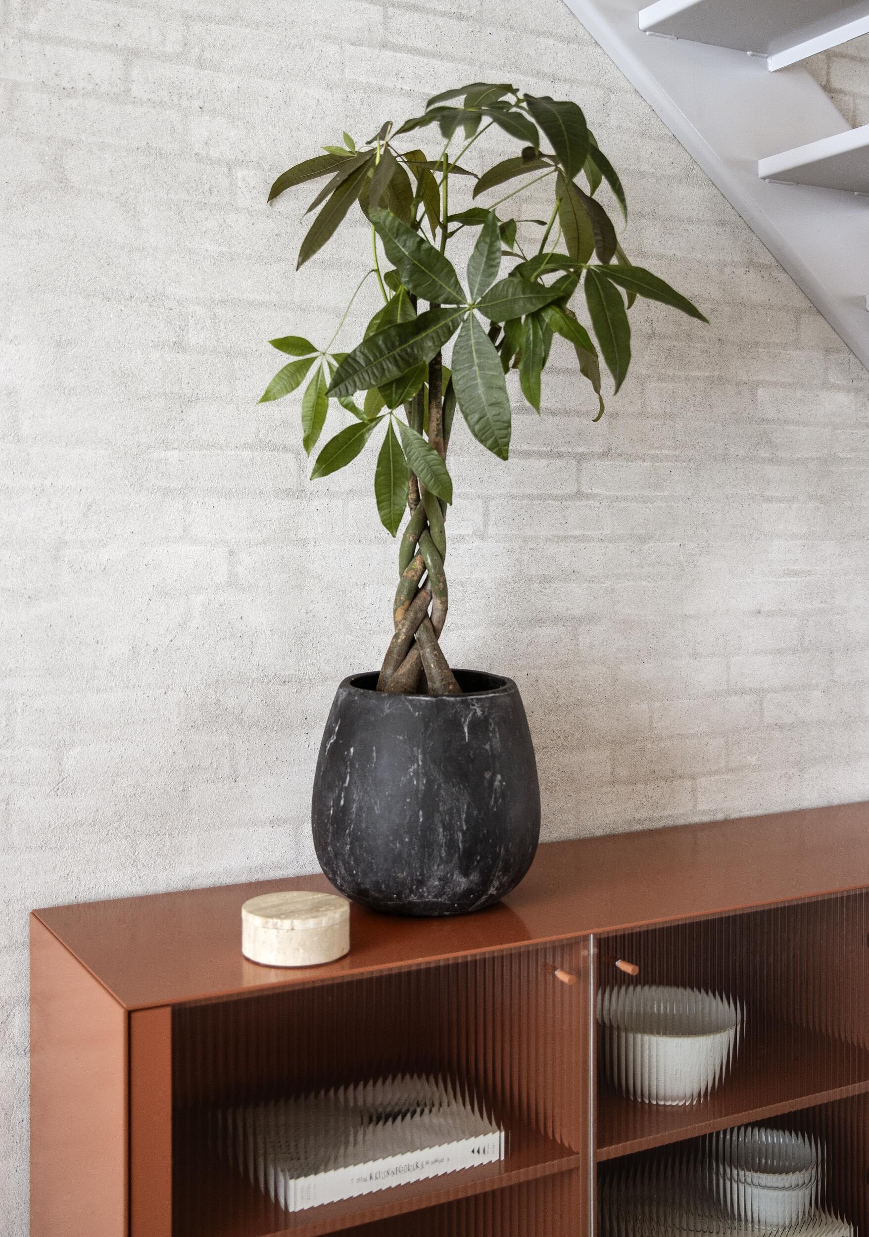 Alesso blomkruka 30 x 30 cm 