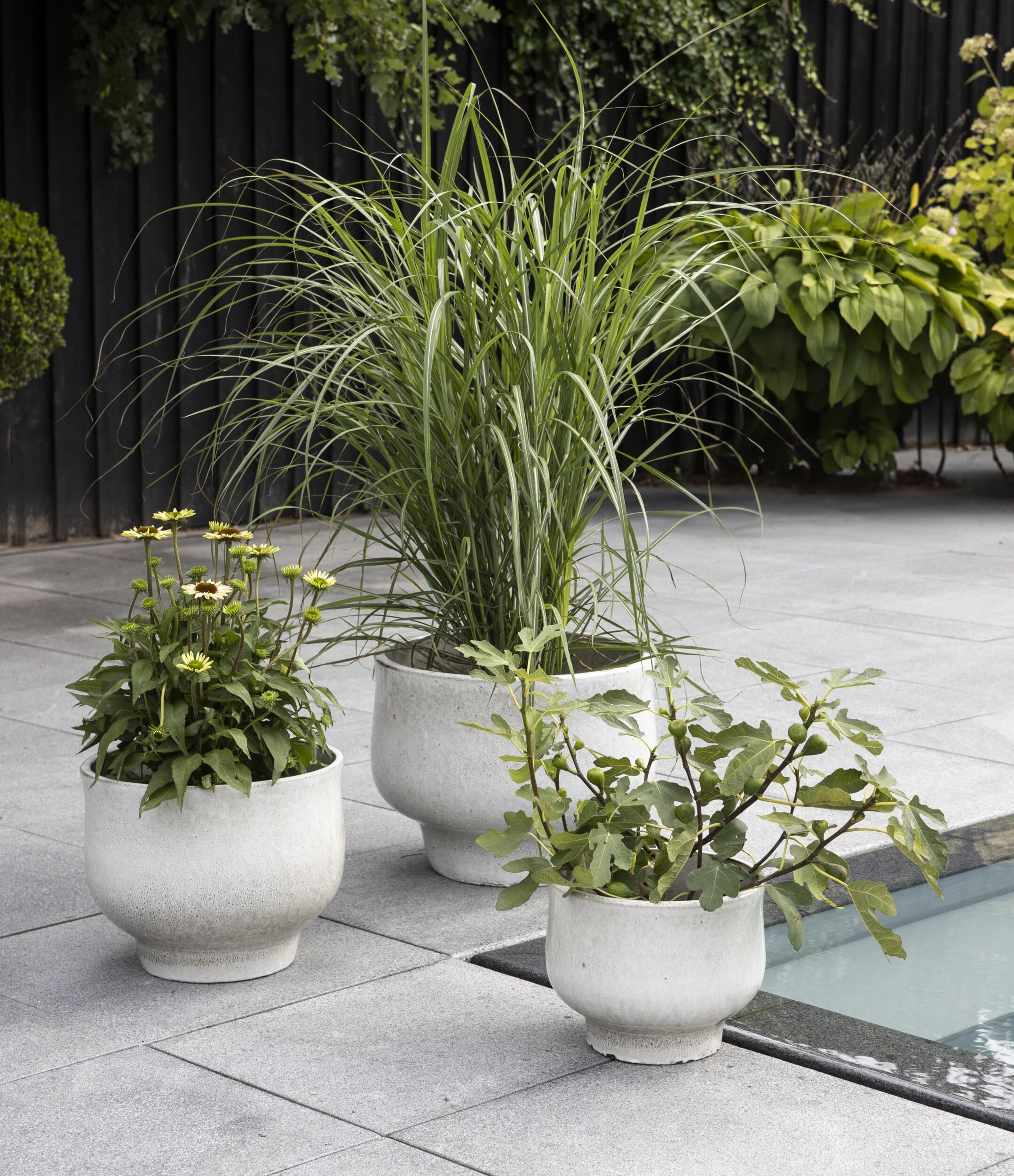 Haugesund Kruka set med 3 st 