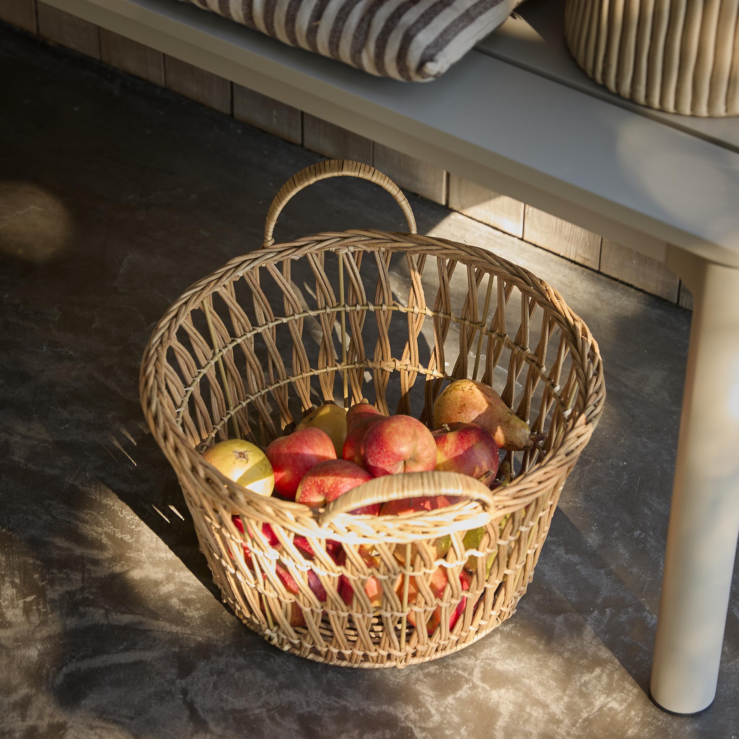 Erika Korg 26 x 39,5 cm 