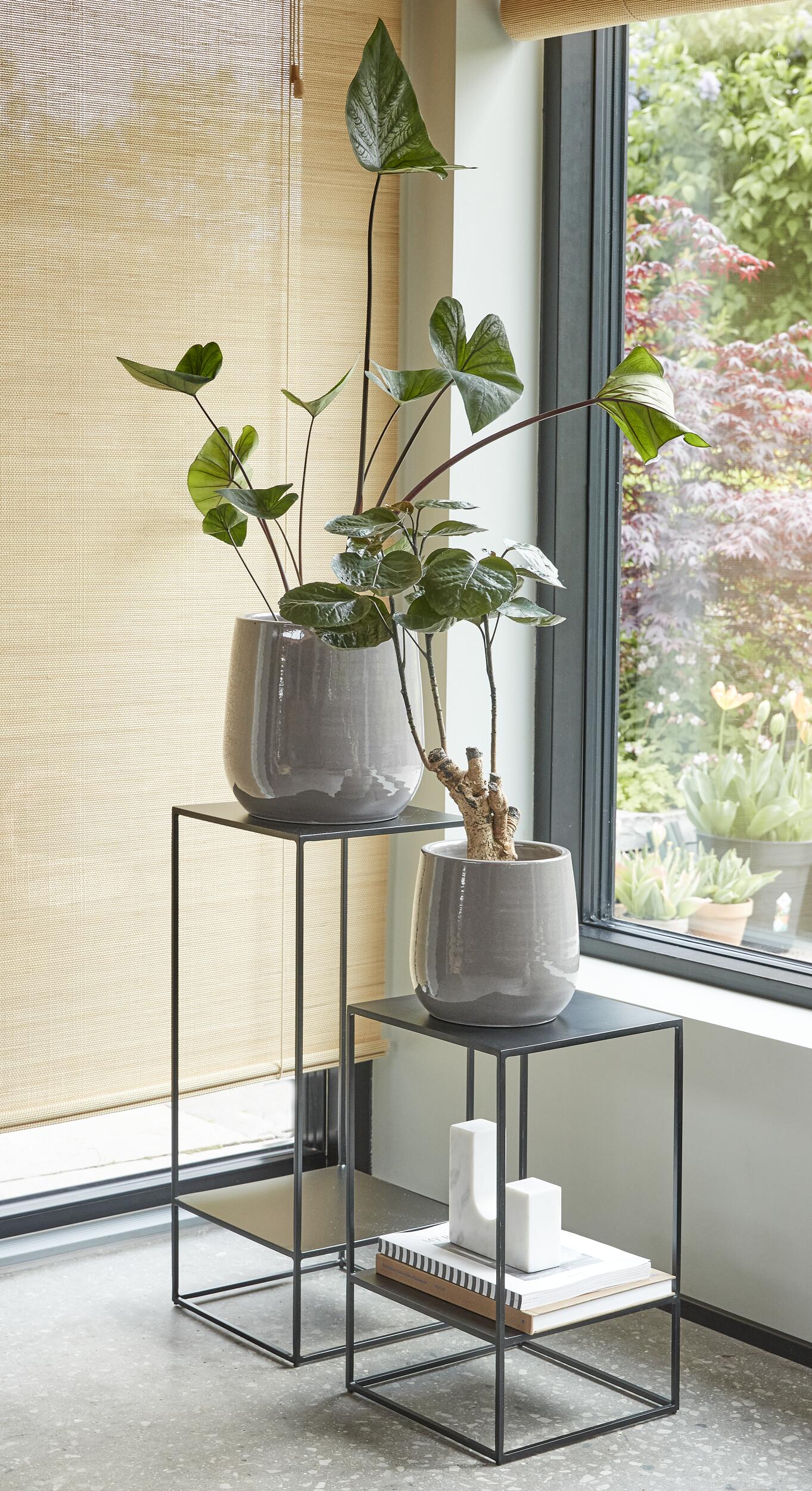 Victoria växthylla 30 x 70 x 30 cm 