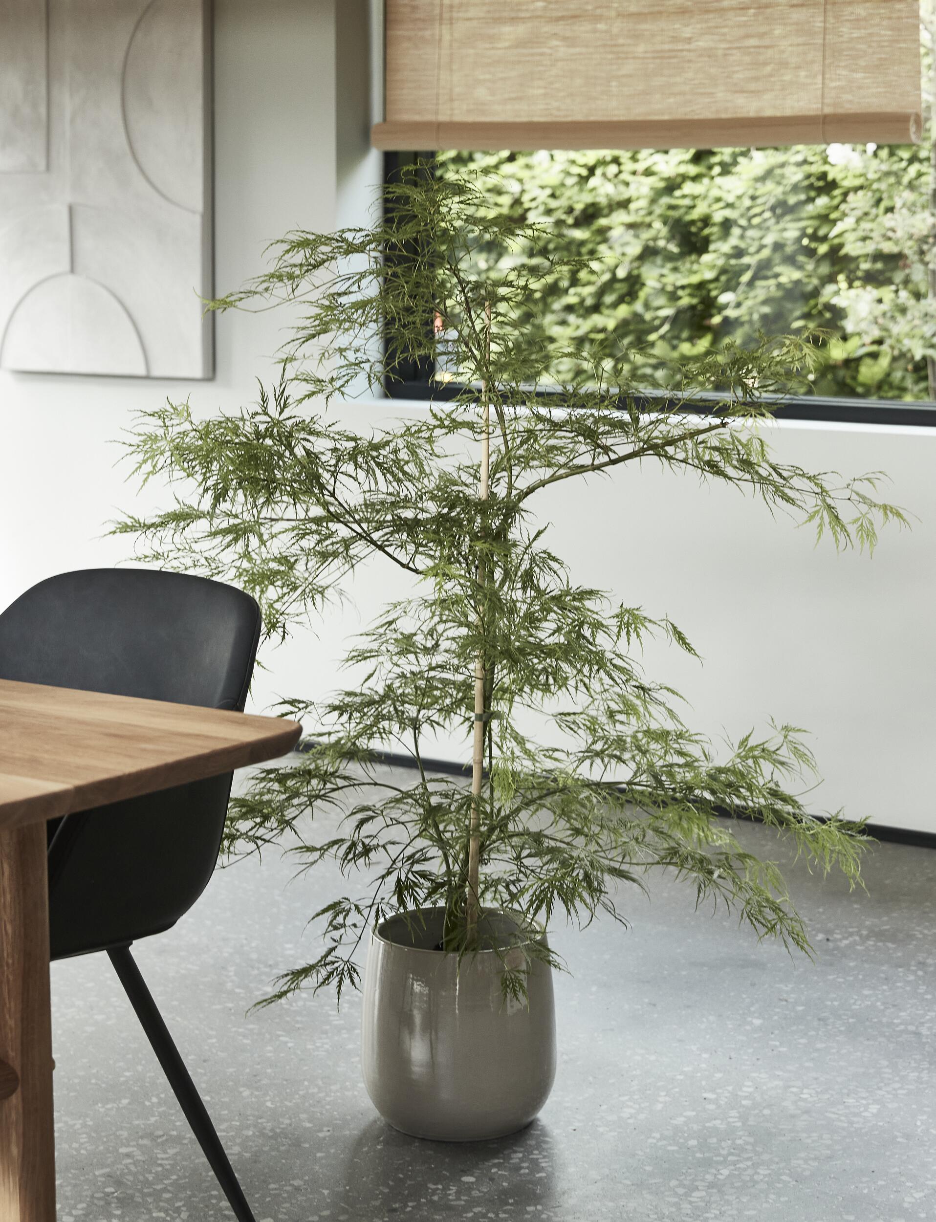 Blair blomkruka 25 x 26 cm 