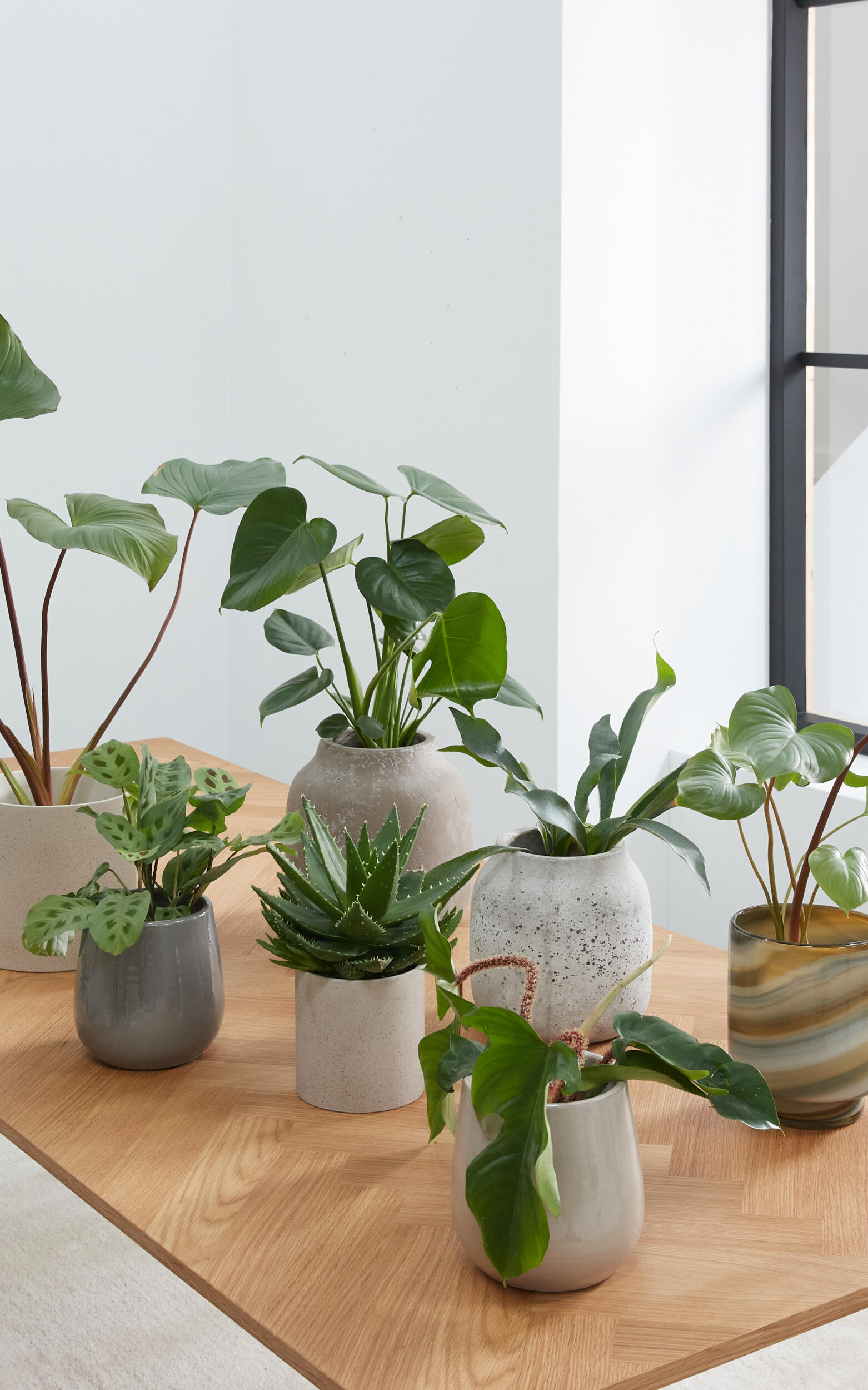 Blair blomkruka 14 x 16 cm 