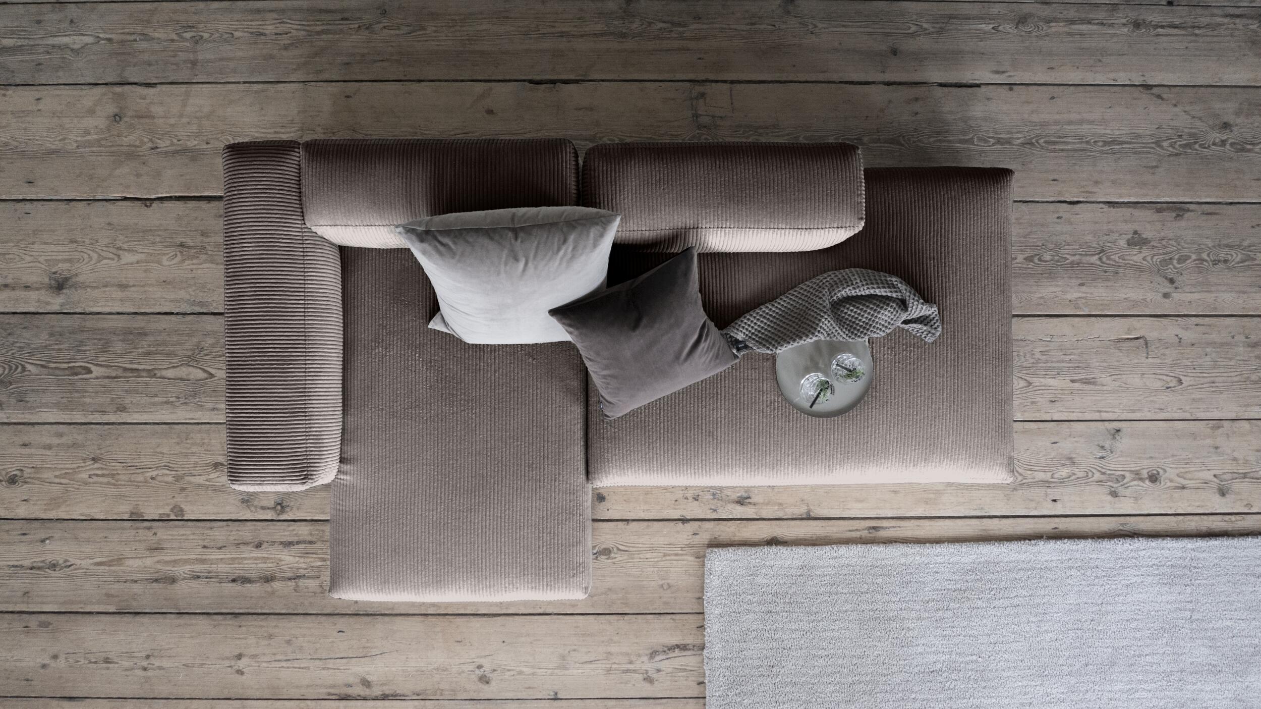 Aimee Schäslongmodul 