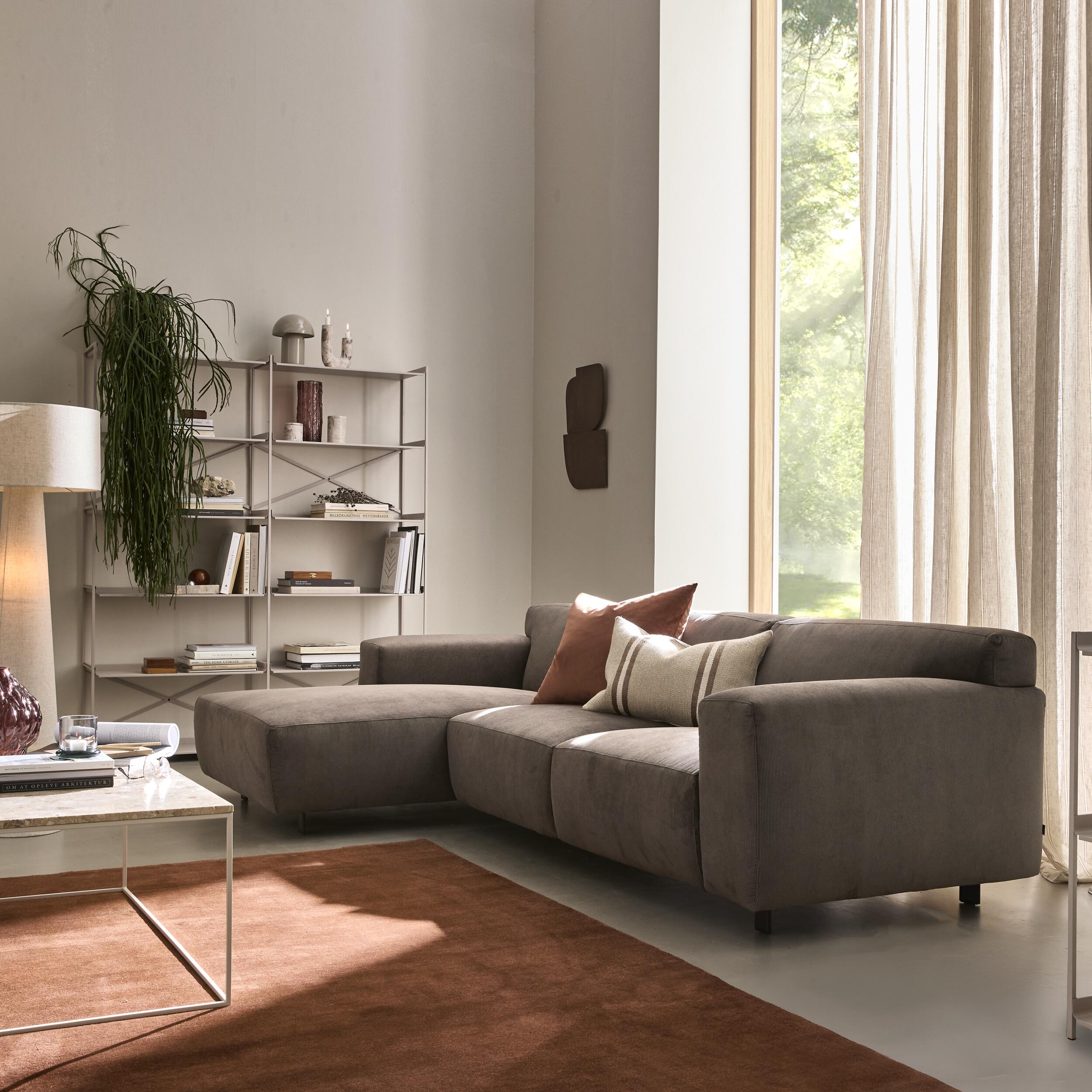 Aimee Schäslongmodul 