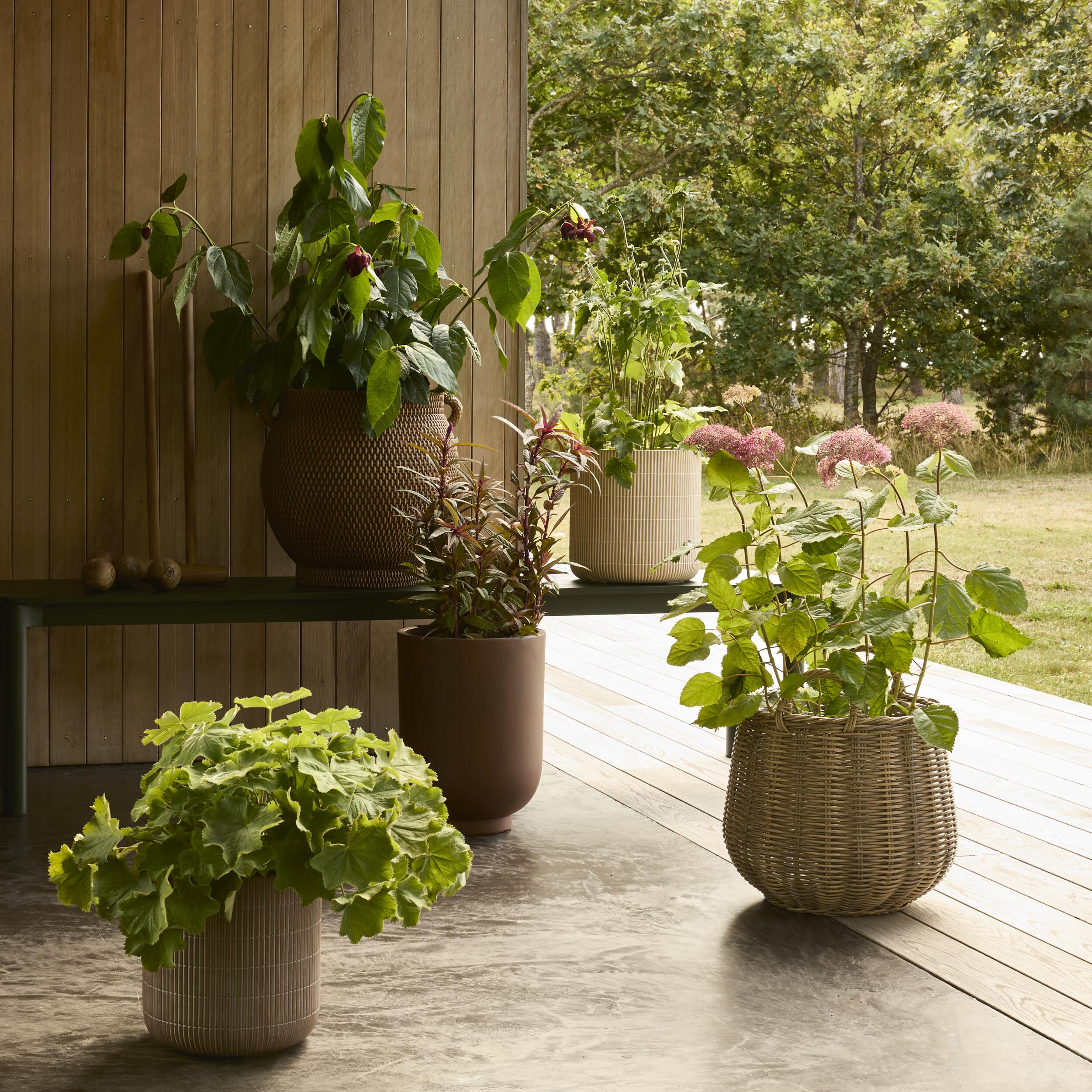 Lynora Kruka 43,5 x 45 cm 