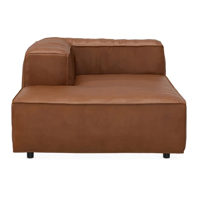 Nordstrom Schäslongmodul