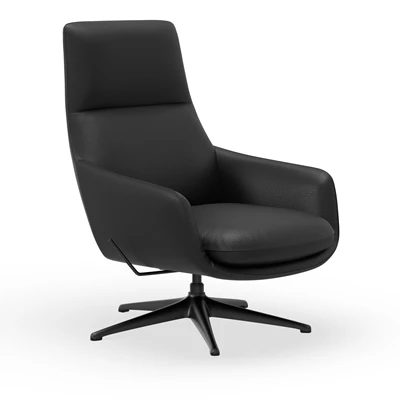 FlexLux Sanvi Fåtölj