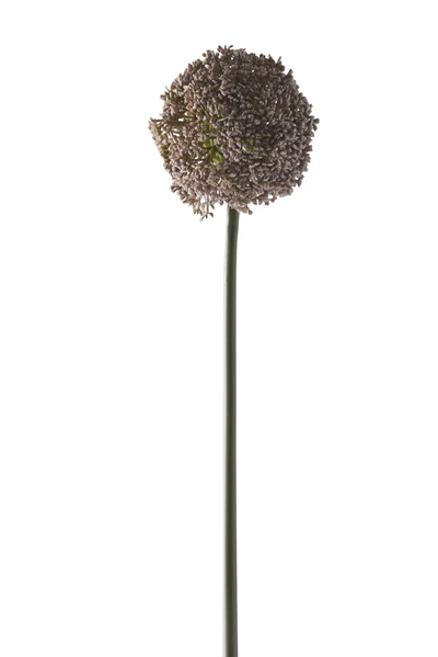 Prydløg konstgjord växt 74 x 11 cm