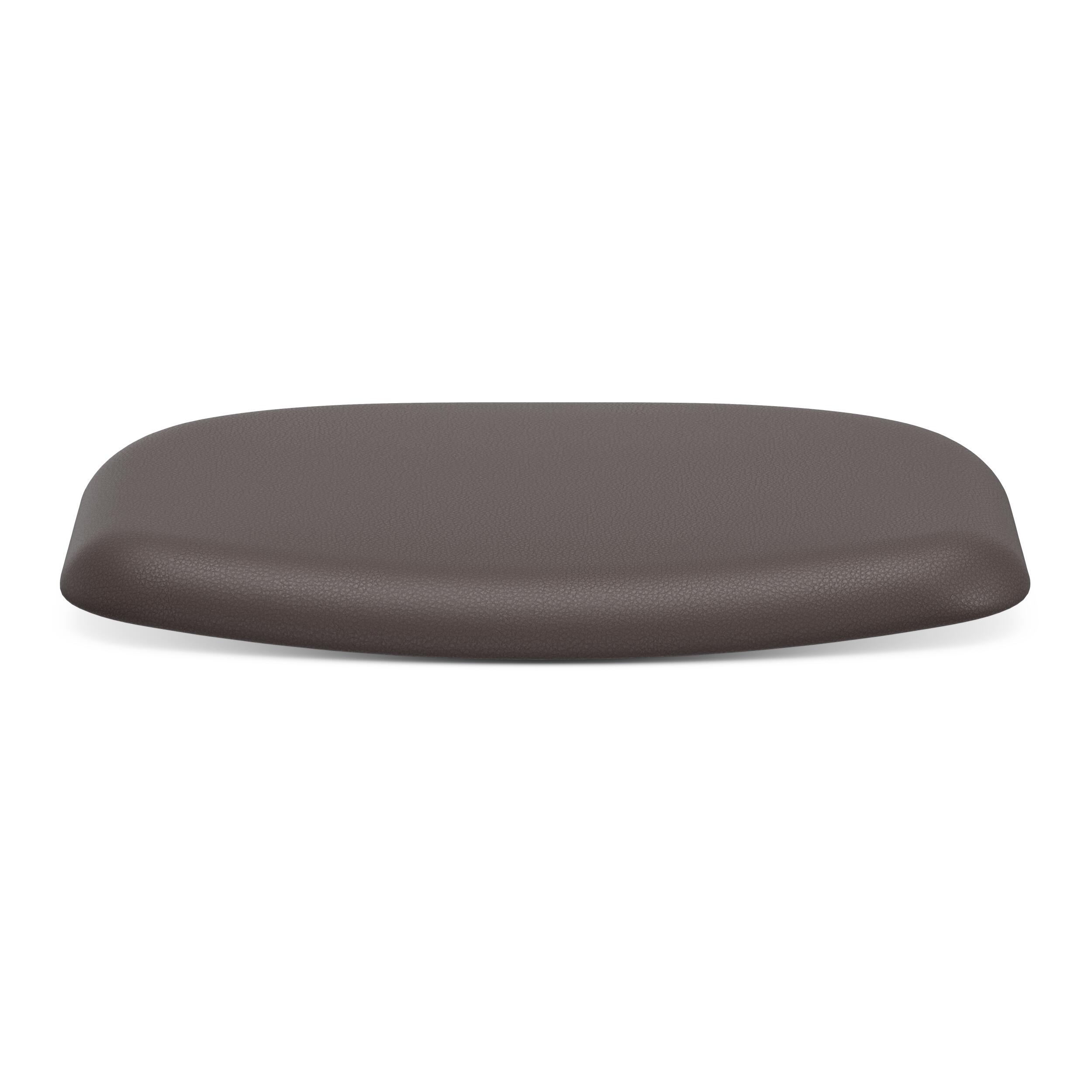 Newton Sittdyna 