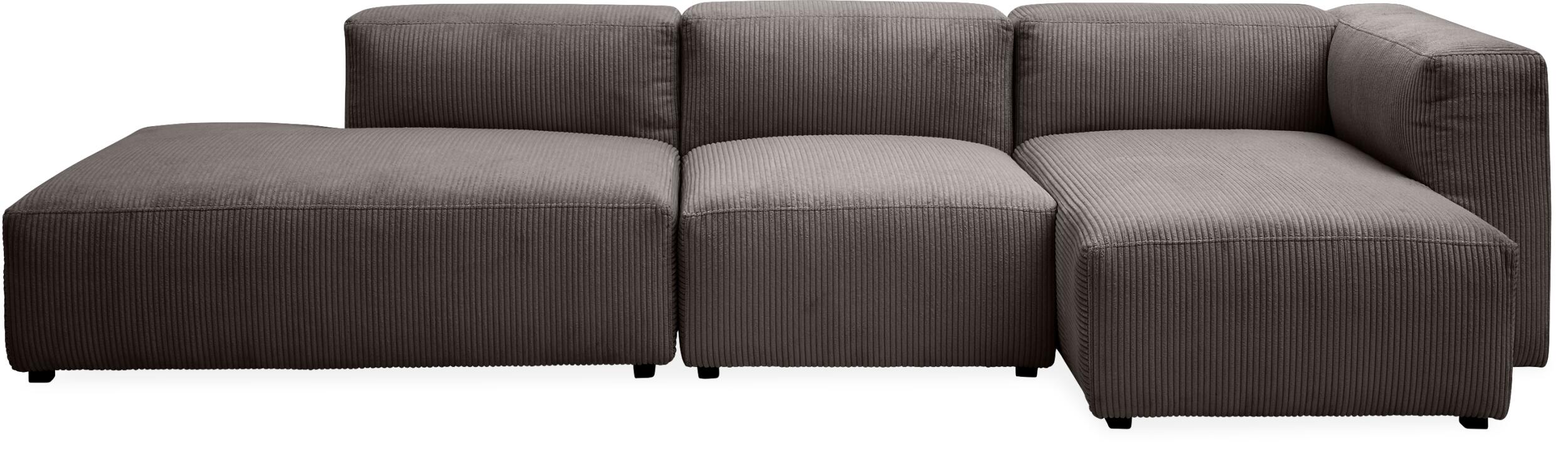 Aimee Schäslongmodul 