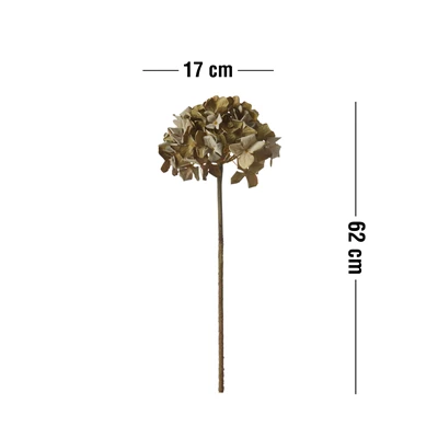 Measurement image